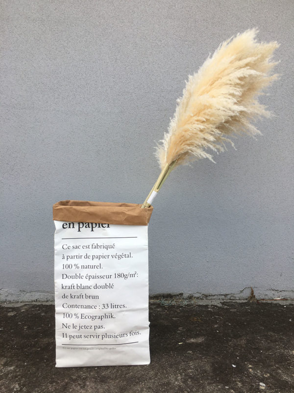 Pampas Grass Wholesale