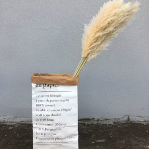 Fluffy Pampas Grass Wholesale