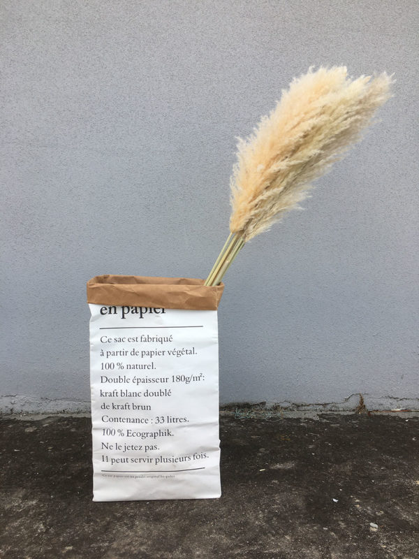 Fluffy Pampas Grass Wholesale