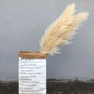 Fluffy pampas grass wholesale