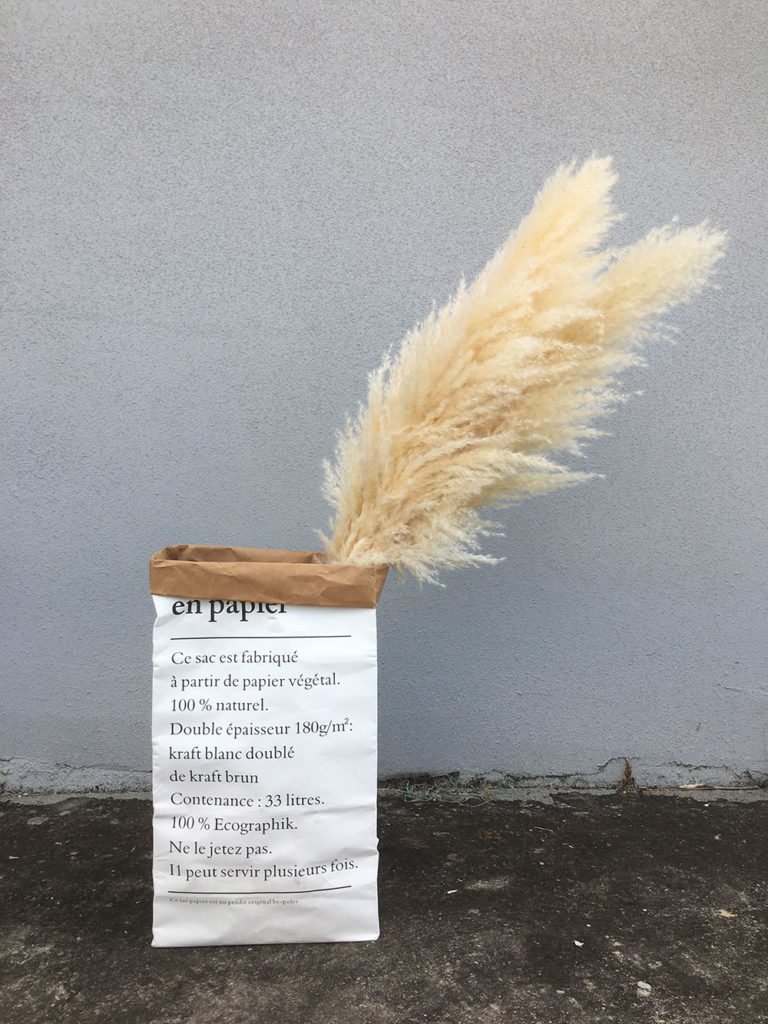 fluffy pampas grass supplier