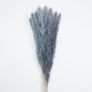 mini pampas supplier frost blue color