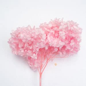 Anna Hydreangea Pink Color Wholesale