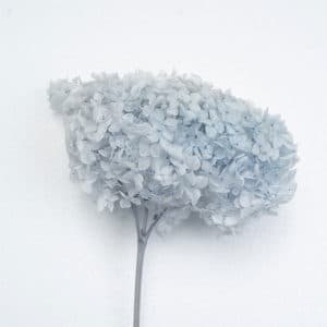Anna Hydreangea Frost Blue Color Wholesale
