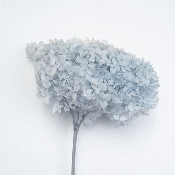 Anna Hydreangea Frost Blue Color Wholesale