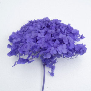 Anna Hydreangea Purple Color Wholesale