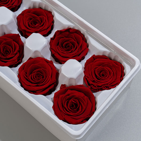 Preserved flowers - Preserved rose 8 buds per box